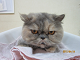 IMG_0304[1]_thumb.png
